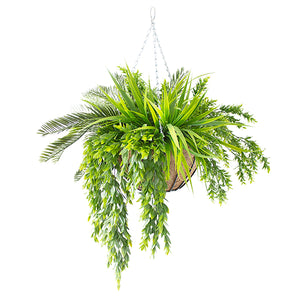 HANGING BASKET WITH CYCAS